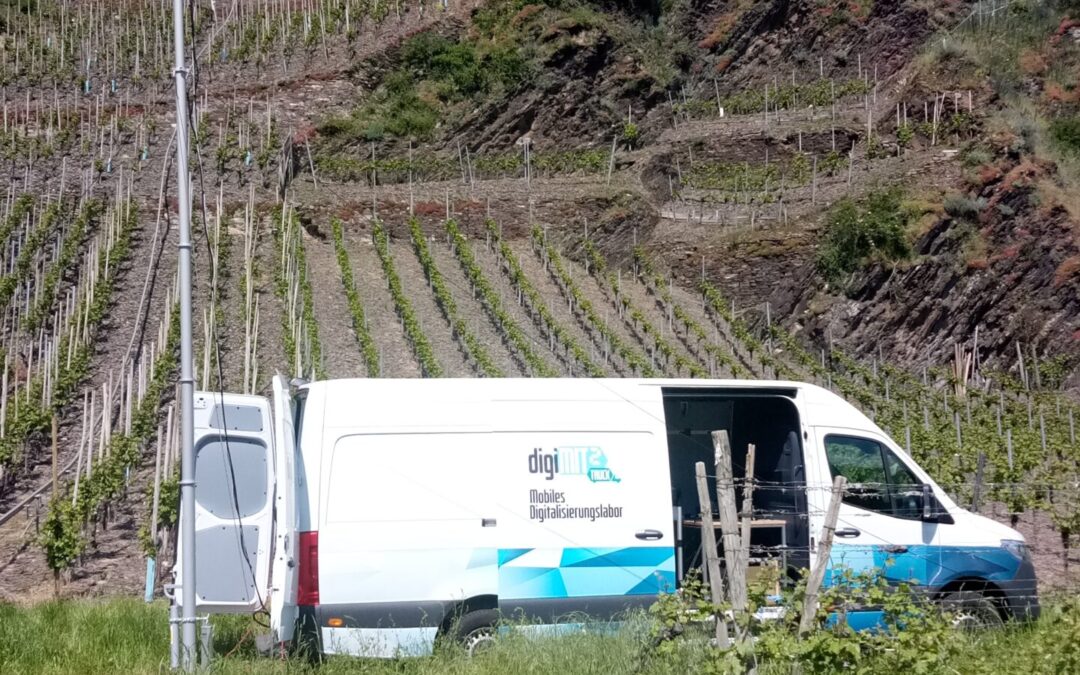 5G-Messungen in Weinbergssteillagen